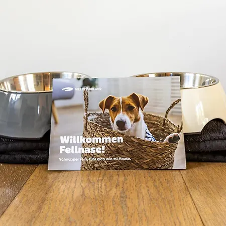 Freischwimmer